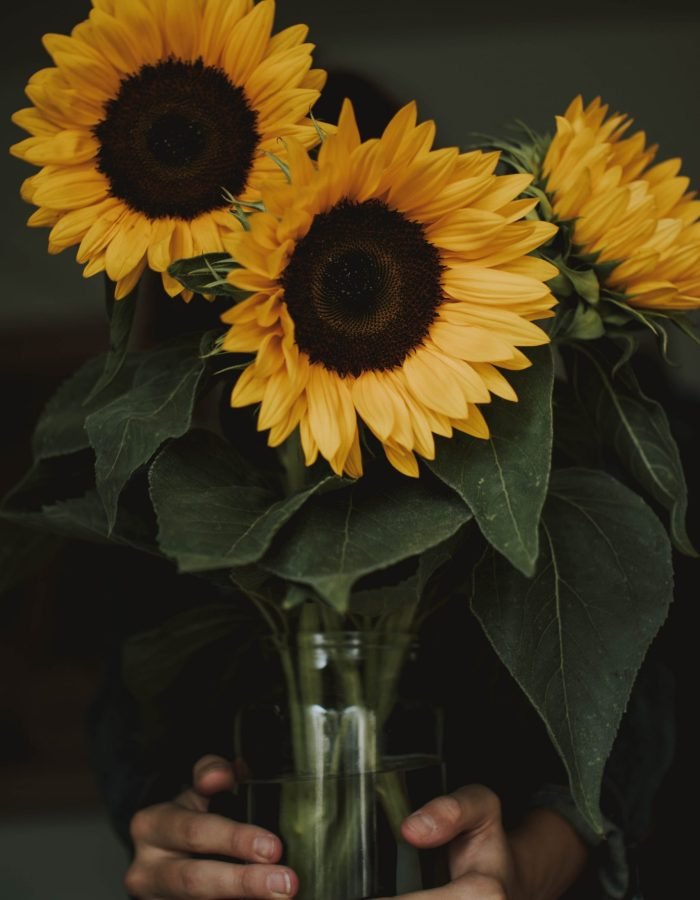 pexels-fotografierende-1390433-scaled-1.jpg